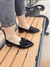 تصویر کالج پاپیونی ورنی 