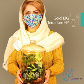 تصویر تراریوم مدل گلد بزرگ vip 