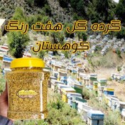 تصویر گرده گل کوهستان نیم کیلویی(خرید مستقیم از زنبوردار ) - ۵۰۰ گرم 