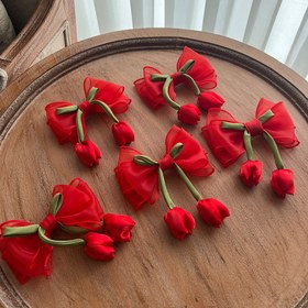 تصویر پاپیون مو 