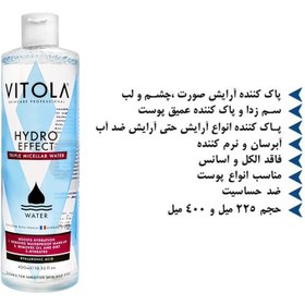 تصویر میسلار واتر 3 کاره مدل Skin Detox مناسب انواع پوست 400میل ویتولا Vitola Skin Detox Triple Micellar Water 400ml