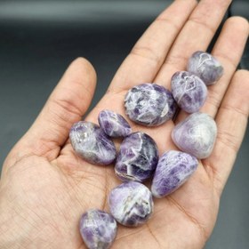 تصویر پک ۱۰ عدد راف تامبل امیتیست 