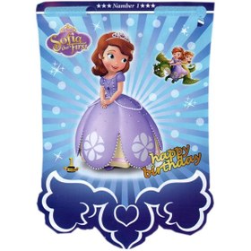 تصویر ریسه تزیینی مدل سوفیا بسته 12 عددی 