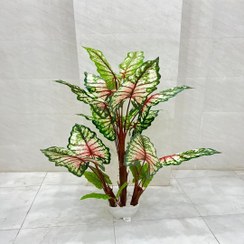 تصویر درختچه مصنوعی بابا آدم 