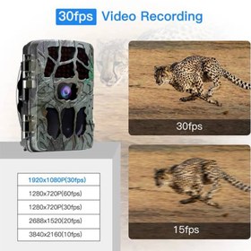 تصویر دوربین تله ای، شکار و حیات وحش ( Trail Camera ) 4K 