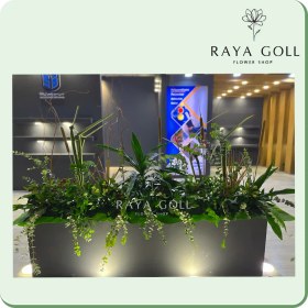 تصویر برگ آرایی بامبو 