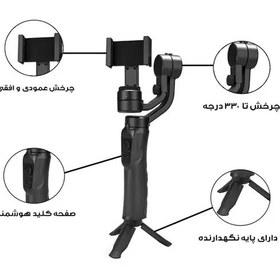 تصویر گیمبال لرزشگیرf5 