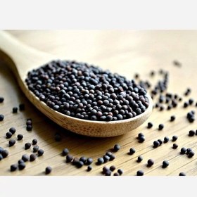 تصویر پودر خردل سیاه 100 گرمی 