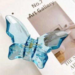 تصویر کلیپس پروانه شیشه ای 