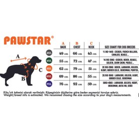 تصویر Pawstar روپوش سگ فیروزه توتا نژاد متوسط ​​و بزرگ لباس TC2395 