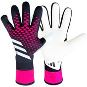 تصویر دستکش دروازه بانی آدیداس Predator مدل HN3345 