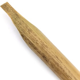 تصویر قلم خیزران 