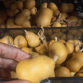 تصویر کدو قلیونی چوبی 