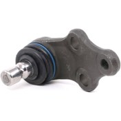 تصویر سیبک طبق کیا موهاوی 