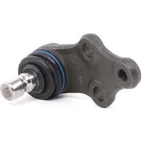 تصویر سیبک طبق کیا موهاوی 