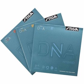 تصویر رویه DNA Hybrid M استیگا 