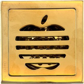 تصویر کف شور مدل Apple-11 