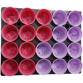 تصویر سینی نشا ۲۰ عددی 