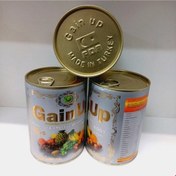 تصویر اشتهاآور و چاقی gain up65 تایی 