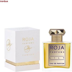 Roja dove lily hot sale