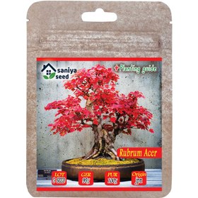 تصویر بذر بنسای افرا روبروم قرمز سانیا سید مدل ss32 