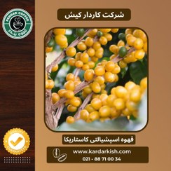 تصویر قهوه سبز اسپشیالتی کاستاریکا کد 01 
