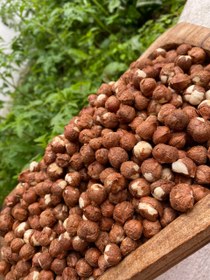 تصویر مغز فندق خام چرب ییلاق تازه شکن