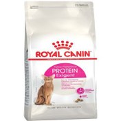 تصویر غذای گربه پروتئین اگزیجنت رویال کنین – Royal Canin Protein Exigent 