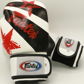 تصویر دستکش بوکس چرم FORTEX چسبی
