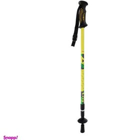 تصویر عصای کوهنوردی مدل LTD 