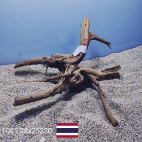 تصویر ریشه آبنوس کد1065 ارسال این ریشه رایگان می باشد