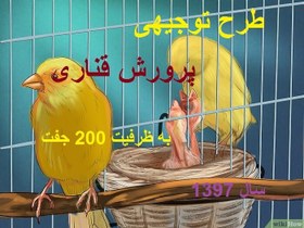 تصویر طرح توجیهی پرورش پرندگان زینتی(قناری) با ظرفیت 200 جفت سال 97 