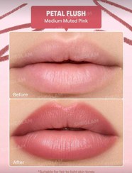تصویر رژلب مدادی محو و طبیعی - Petal flush Blur Lip liner