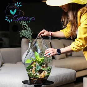 تصویر تراریوم دایموند vip 