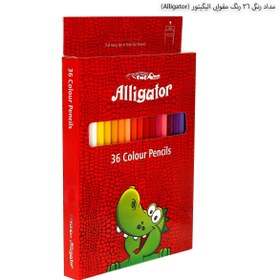 تصویر مداد رنگی 36 رنگ جعبه مقوایی الیگیتور ALLIGATOR 