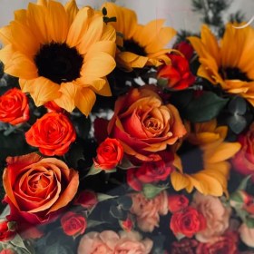 تصویر باکس گل پلکسی الورا 