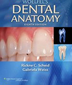 تصویر [PDF] دانلود کتاب Woelfel's Dental Anatomy - Its Relevance To Dentistry, 8th ed, 2011 
