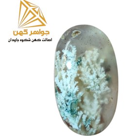 تصویر نگین شجر بهاری (کد 70) 