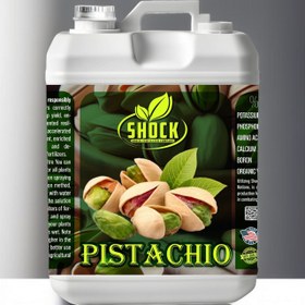 تصویر کود Pistachio شوک 