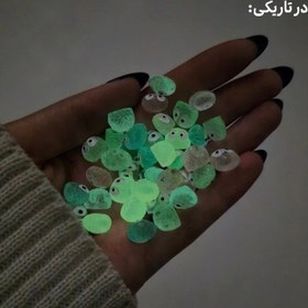 تصویر شبتاب شپش 