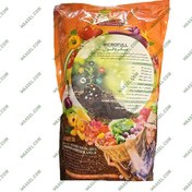 تصویر میکروفول تتاکو جایر 