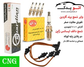 تصویر پک ویژه افزایش شتاب و قدرت 405, پارس, سمند, اریسان 1.8 cng - با شمع دو پلاتین دالف / و وایر شمع تقویتی 