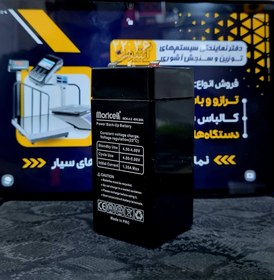 تصویر باطری موریسل4V-4.5Ah moricell battery