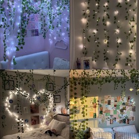 تصویر ریسه برگ 