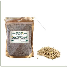 تصویر عدس ارگانیک 