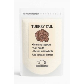 تصویر پودر قارچ دم بوقلمون 