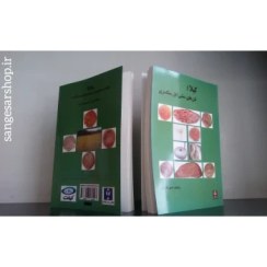 تصویر کیلا، نان های سنتی ایل سنگسری 