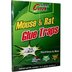تصویر چسب موش Green River 851 ا Green River mouse & rat glue board Green River mouse & rat glue board