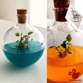 تصویر تراریوم گوی 500 سی سی 