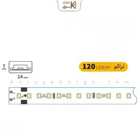 تصویر ریسه شلنگی 10 وات تراکم 120 لوپ لایت 